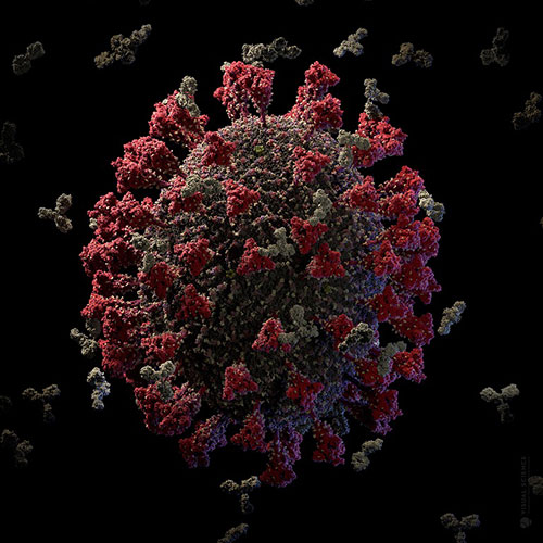 Mathematical Models for Prediction and Control of Epidemics
